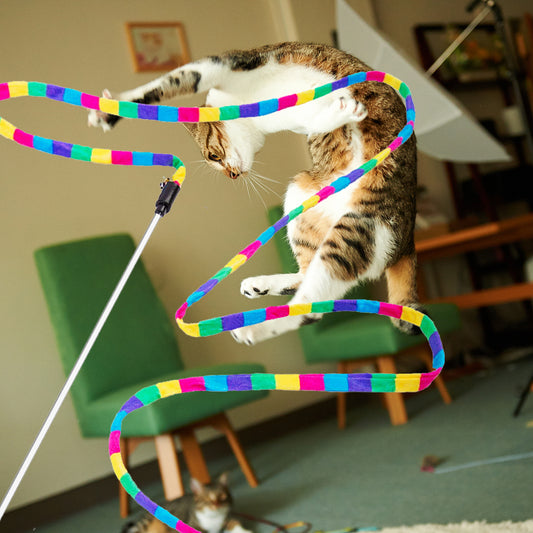 How to Use a Cat Wand Toy to Keep Your Cat Active