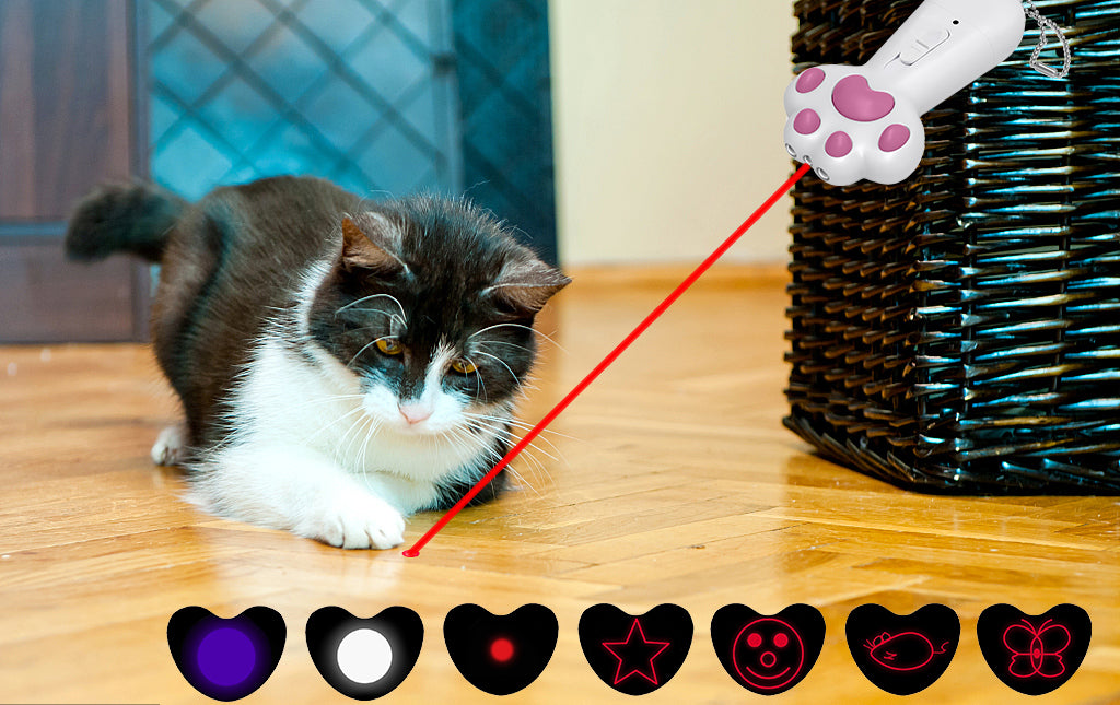 Pet Laser Toy: A Comprehensive Guide