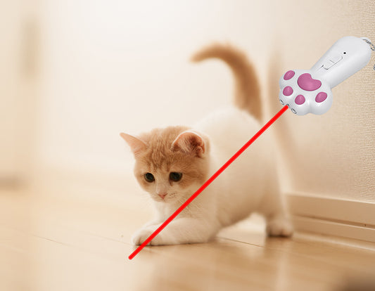 How to Play Interactive Games with a Cat Laser Pointer Toy