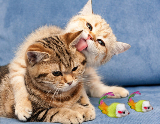 The Best Cat Toys for Exercise and Entertainment