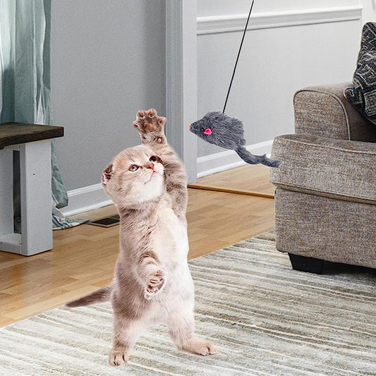 Should Cats Play With Cat Toys?