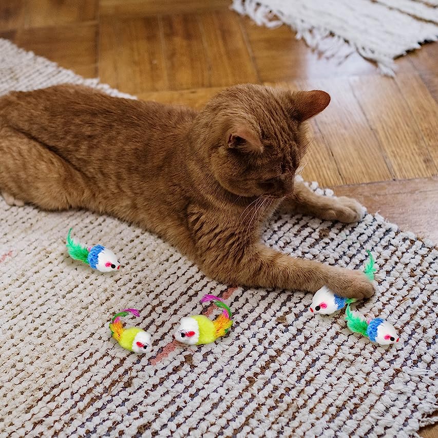 6 Fun Facts About Cat Mouse Toys