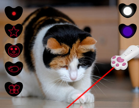 How to Safely Use a Cat Laser Toy