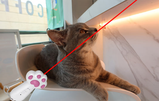 Unleashing the Playful Side: Cat Laser Toys