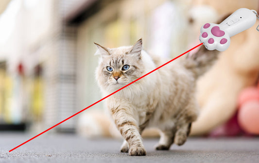 How Do Cat Laser Toys Help with Exercise?