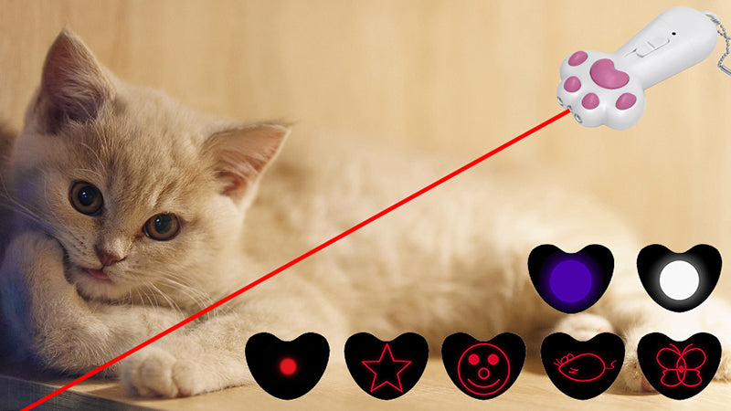 Maintaining and Cleaning Cat Laser Toys