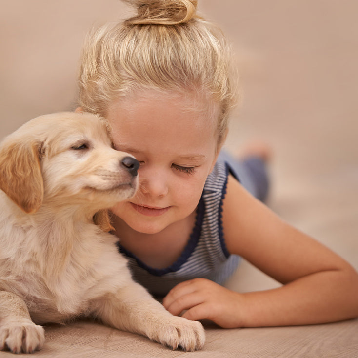 Enriching Lives: The Profound Impact of Pets