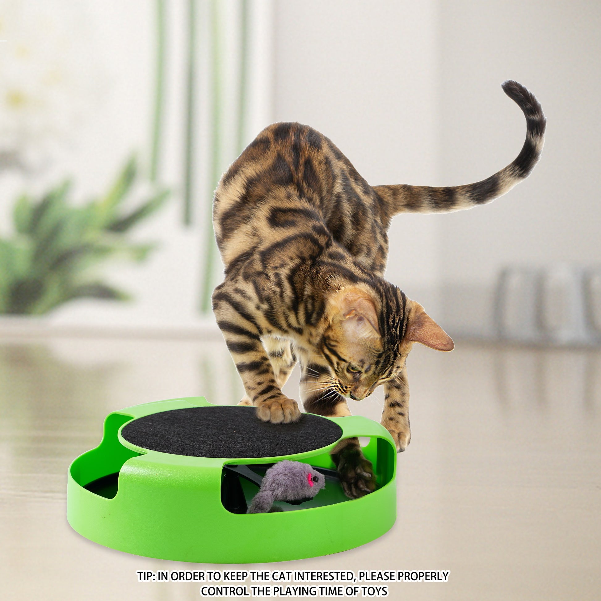 cat toys for indoor cats best sellers