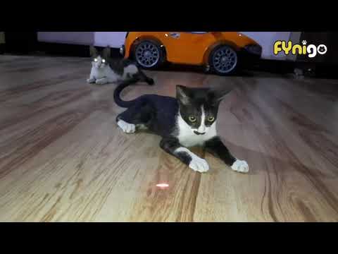 laser cat toy